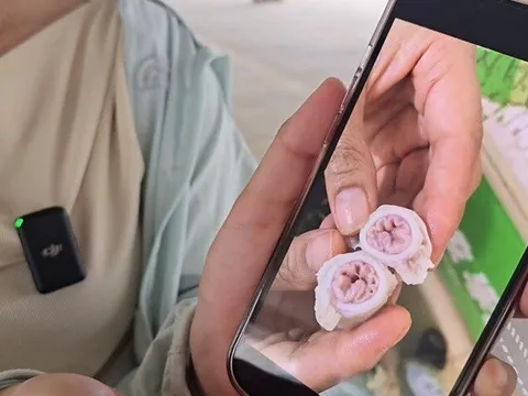 TikToker Việt quay cận cảnh 'phù phép' lòng xe điếu bằng hóa chất ở Trung Quốc