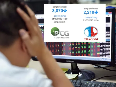 Bộ đôi BCG và TCD vào diện hạn chế giao dịch, cổ phiếu "nằm sàn"