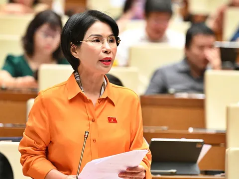 Hộ kinh doanh doanh thu hàng chục tỷ nhưng áp thuế khoán vài triệu