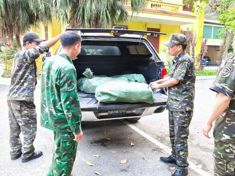 Hàng nghìn sản phẩm 'đội lốt hàng Việt Nam': Ngành Hải quan vào cuộc quyết liệt