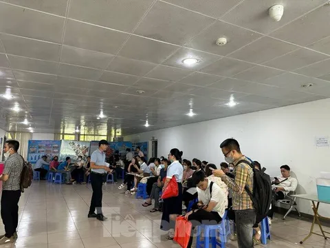 Mua nhà ở xã hội: Từ khổ ải đợi chờ đến kiếp nạn 'cò mồi'