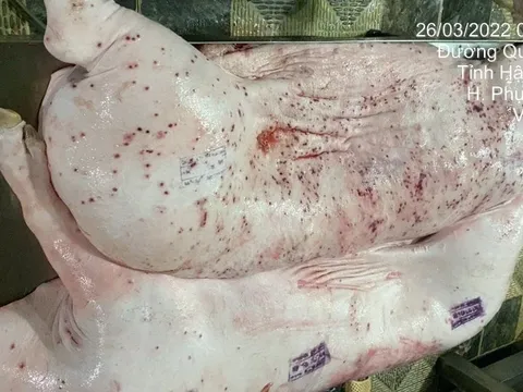 Người "tố" Công ty C.P chế biến lợn, gà bệnh để bán ra thị trường nói, đang tiếp tục gửi đơn đến các cơ quan chức năng