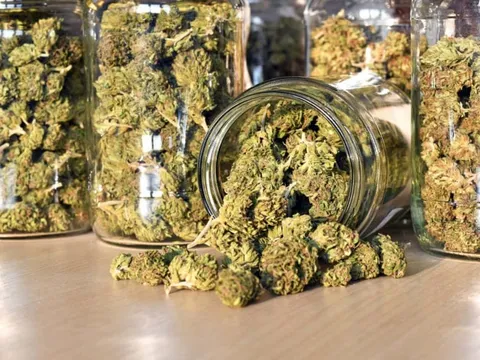 3 cựu công an phường chở người vi phạm đi rút tiền "cảm ơn", có thể bị xử lý thế nào?