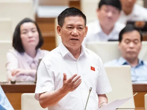 Phó Thủ tướng Hồ Đức Phớc: Nên áp dụng thuế khoán đối với hộ kinh doanh, buôn bán nhỏ, doanh thu dưới 1 tỷ đồng