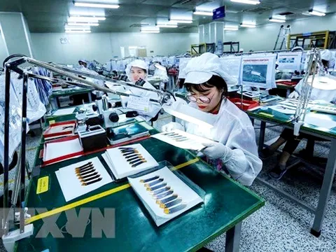 Doanh nghiệp châu Âu giữ vững niềm tin vào triển vọng của Việt Nam