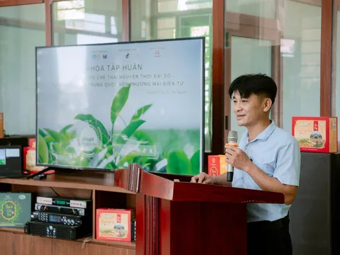 Vùng chè Thái Nguyên nâng chất, xây dựng thương hiệu