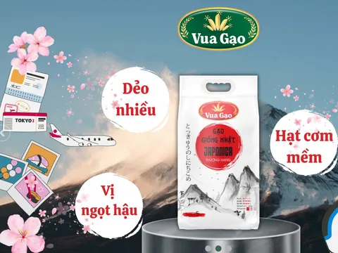 Tìm hiểu King Green: 'Vua Gạo' bị cấm đấu thầu vì bán hàng kém chất lượng