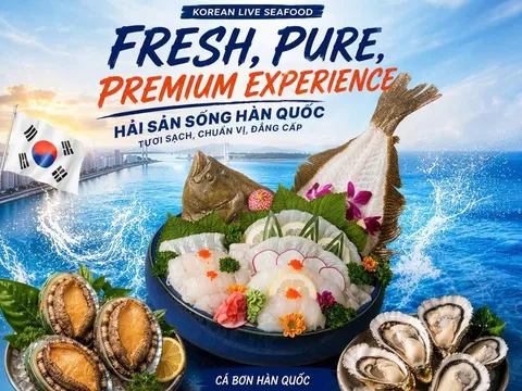 Royal Seafood và TSG Korea đưa hải sản Hàn Quốc đến gần hơn với thực khách Việt
