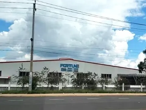 Xử phạt Công ty TNHH Công nghệ Fortune và Công ty TNHH Feng Yi