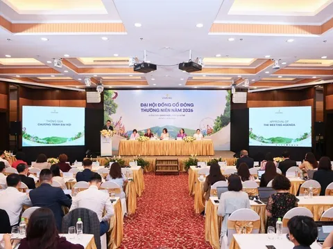 Vinpearl đặt mục tiêu lãi 3.000 tỷ đồng trong năm 2026, tái cấu trúc toàn diện