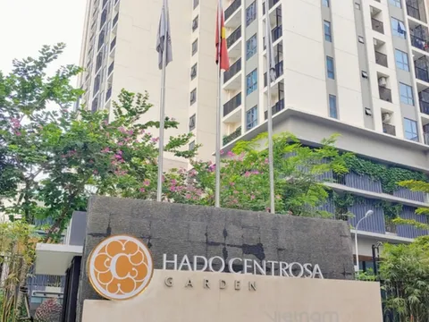 Hà Đô (HDG) rót hơn 600 tỷ đồng lập công ty điện gió, lợi nhuận quý I giảm một nửa