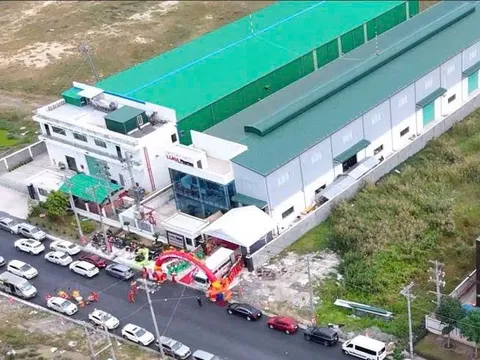 Thị trường sữa công thức: Cầu lớn, cơ hội cho thương hiệu nội vươn cao