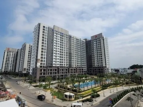 Công ty TNHH MTV Đầu tư phát triển Gia Cư  - thành viên của Pi Group nợ thuế hơn 347 tỷ đồng