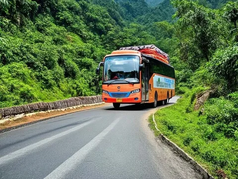 Đừng đổ lỗi cho xe giường nằm!