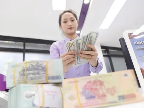 Tỷ giá biến động, những ngân hàng kiếm đậm từ buôn ngoại hối