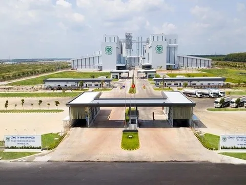 C.P. hụt thu gần 6.000 tỷ đồng tại Việt Nam sau lùm xùm heo bệnh