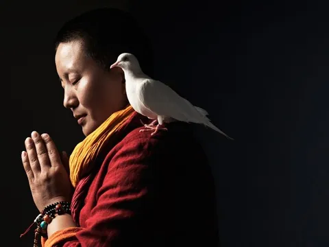 VPBank đồng hành cùng sự kiện âm nhạc với sự tham gia của nghệ sĩ Ani Choying Drolma