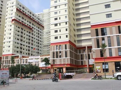 Nợ thuế gần 600 tỷ đồng, Công ty Cổ phần Đức Khải bị dừng làm thủ tục hải quan