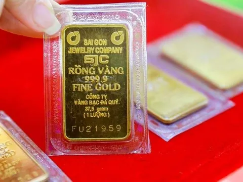 Giá vàng miếng SJC tăng hơn nửa triệu đồng chỉ sau 1 đêm, lập kỷ lục mới