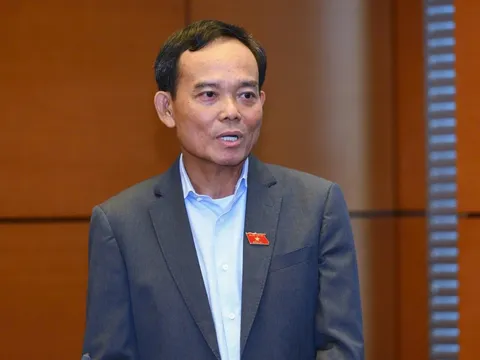 Ông Trần Lưu Quang làm Bí thư thành ủy TP.HCM