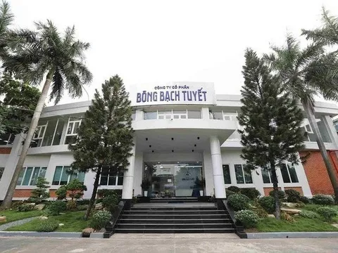 Khai sai thuế, Bông Bạch Tuyết bị xử lý hơn 1,14 tỷ đồng