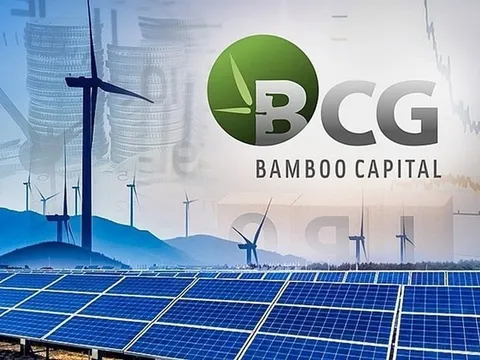 Bamboo Capital xin lỗi cổ đông, vẫn không cứu được thị giá
