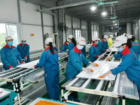 Tăng cường nội lực doanh nghiệp: Nền tảng tạo sức bật mới cho kinh tế Việt Nam