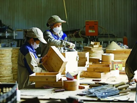 Luật Phá sản sửa đổi: Không để những “xác sống” gây hệ lụy