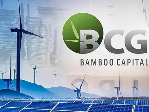 Bamboo Capital triệu tập họp cổ đông bất thường sau khi cổ phiếu bị đình chỉ