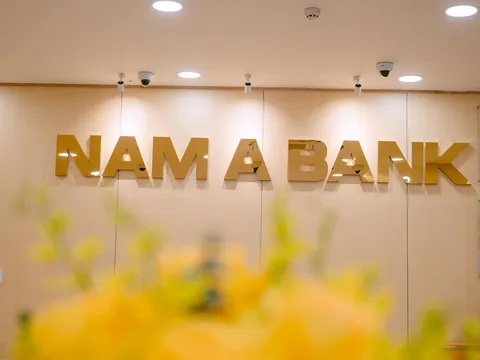 Thanh tra Ngân hàng Nhà nước chỉ ra một số tồn tại ở chi nhánh Nam A Bank và GP Bank