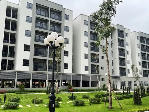 'Thu hồi căn hộ NƠXH nếu không đúng đối tượng, điều kiện thu nhập'