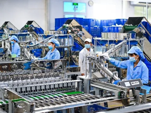 Điểm tựa thông tin của cộng đồng doanh nghiệp Việt Nam