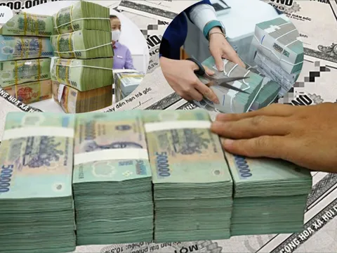 Mùa cổ tức khởi động sớm, dòng tiền tìm đến cổ phiếu trả tiền mặt