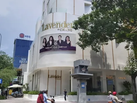 Công ty Lavender Sài Gòn của Lý Thuỳ Chang nợ thuế