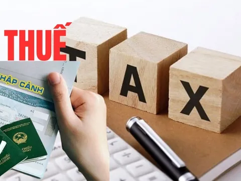 Chủ tịch Công ty An Thịnh Đồng Nai nguy cơ bị tạm hoãn xuất cảnh