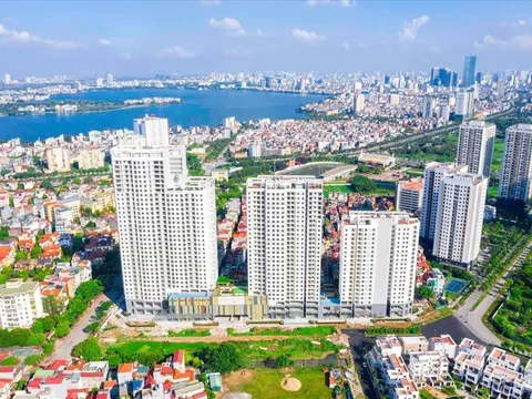TP. HCM công khai 4.642 doanh nghiệp nợ thuế