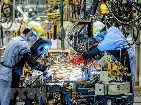 Niềm tin doanh nghiệp châu Âu vào Việt Nam tăng mạnh