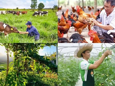 Chính sách mới có hiệu lực từ tháng 8/2026