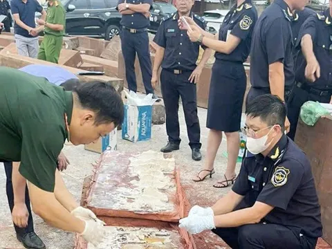 Hải quan bàn giao cho Công an vụ phát hiện 1,2 tấn ngà voi từ châu Phi