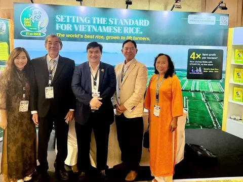 Gạo ST25 của Việt Nam giành giải Nhì "Gạo ngon nhất thế giới 2026"