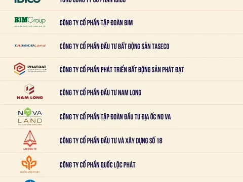 Top 20 công ty bất động sản tư nhân nộp ngân sách lớn nhất Việt Nam