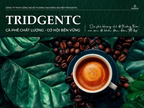 TridgeNTC: Hiện thực hóa giấc mơ "Cà phê công nghệ" và lộ trình IPO năm 2030