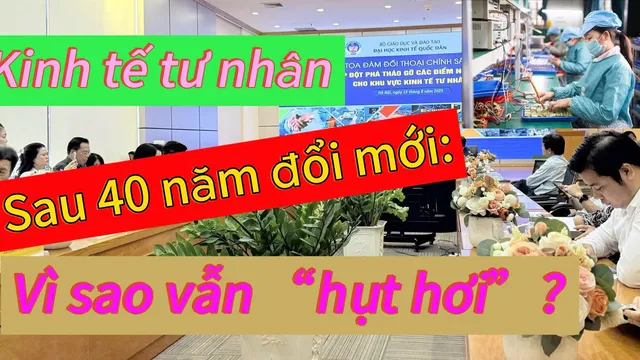 Kinh tế tư nhân sau gần 40 năm đổi mới: Vì sao vẫn “hụt hơi”