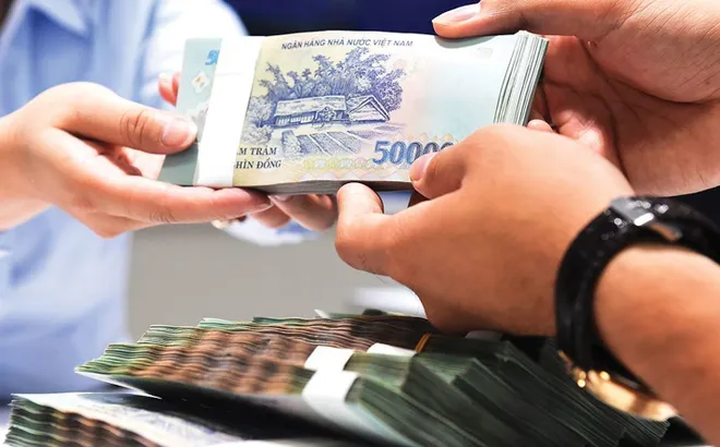 Điều kiện cấp giấy phép đối với quỹ tín dụng nhân dân, tổ chức tài chính vi mô