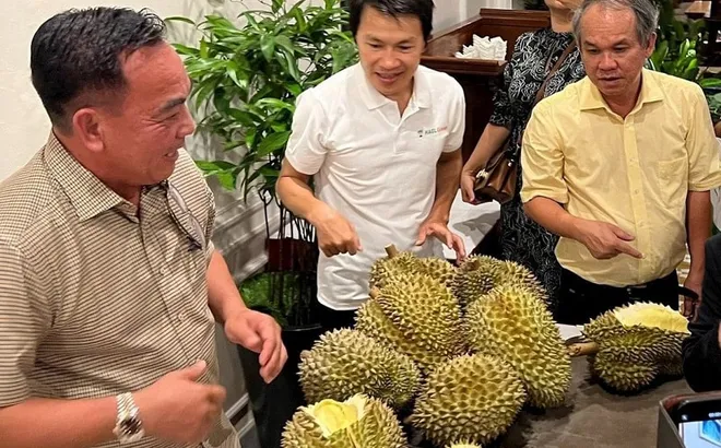 Doanh nghiệp bầu Đức “rơi” hơn 80% lợi nhuận do đâu?