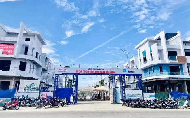 Năm 2024 của BGI Group: Lãi mỏng dẹt, tiếp tục âm dòng tiền kinh doanh