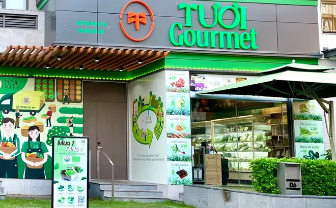 Tươi Gourmet mang thực phẩm tươi, sạch tới gian bếp nhà bạn