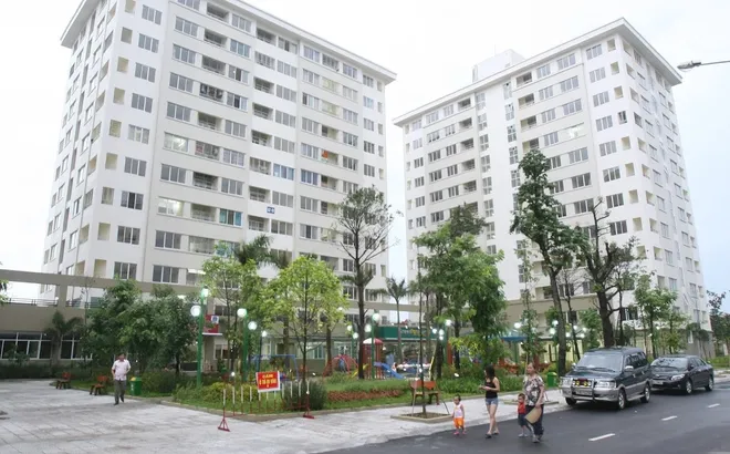 Bán rau ngoài chợ xác nhận thu nhập mua nhà ở xã hội thế nào?