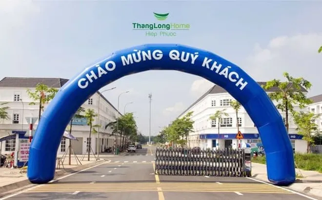 Công ty thành viên Thang Long Real Group bị phạt 300 triệu đồng