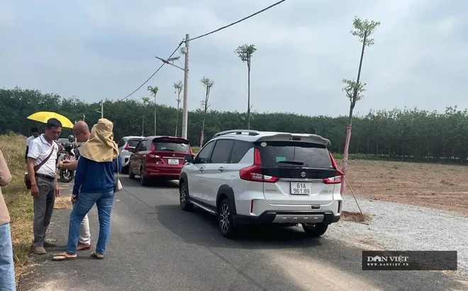 Nhà đầu tư “săn” nhà, đất ở Bình Dương khi có thông tin sáp nhập